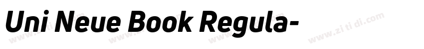 Uni Neue Book Regula字体转换
